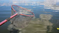 Fishing landing net held over calm water reflecting summer clouds