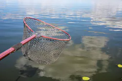 Fishing landing net held over calm water reflecting summer clouds